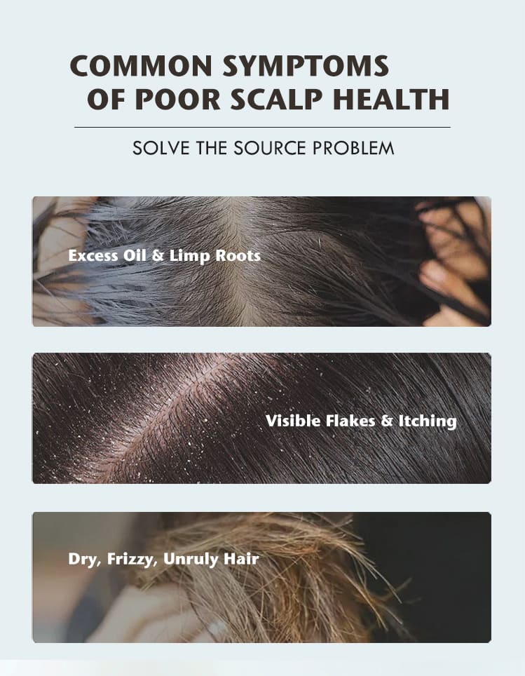 style tree black seed oil hair care set – clarifying & strengthening hair