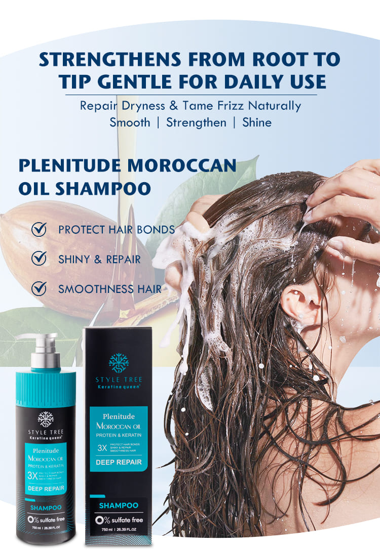 style tree moroccan oil hair care set repair & smoothness